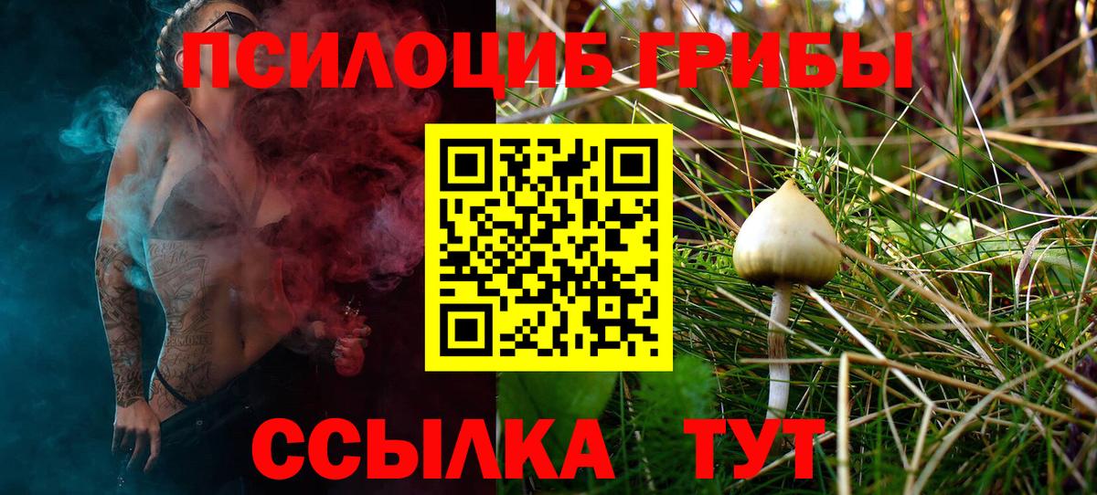 Галлюциногенные грибы Magic Shrooms Гудермес
