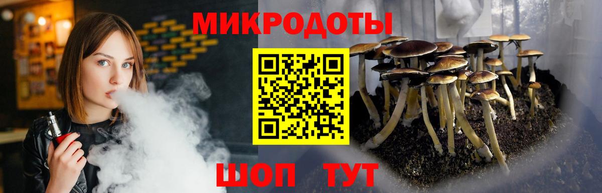 Гудермес  Галлюциногенные грибы MAGIC MUSHROOMS  Вход с VPN 
